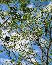 processed-b0b69ec2-1edd-4867-a6c9-526a3850d413_gBzXrkFA.webp